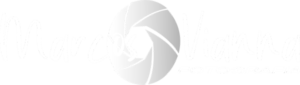 Logo cinza